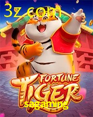 SAGAMING.COM