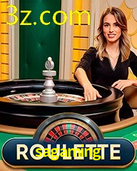 SAGAMING.COM
